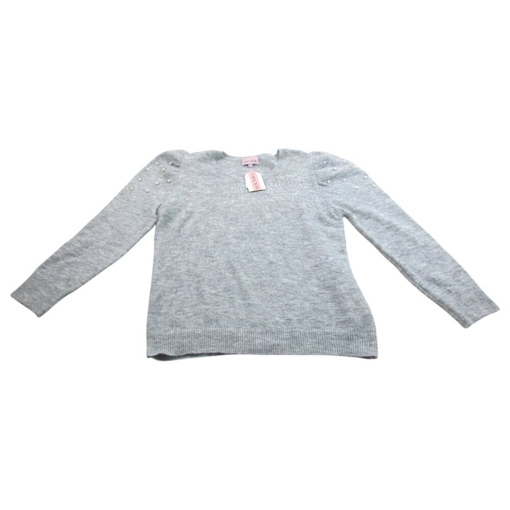 Carol Rose Pullover Sweater Womens XL Gray Heather Beaded Long Sleeve Round Neck